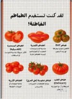 الطماطم.webp