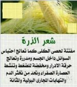 شعر الذره.webp