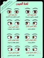 لغة العيون.webp