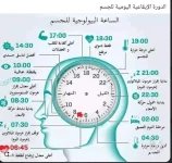 الساعه البيولوجيه للجسم.webp