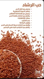حب الرشاد