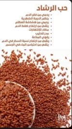 حب الرشاد.webp