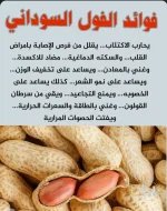 الفول السوداني.webp