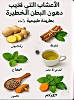 اعشاب تذيب دهون البطن.webp