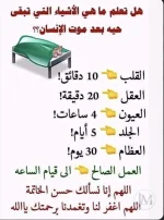 ما هي الاشياء التي تبقى حية بعد موت الانسان ؟؟