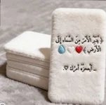 حكم د2.webp