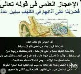 اعجاز علمي.webp