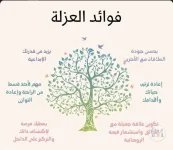فوائد العزلة.webp