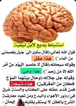 استنباط لابن تيمية