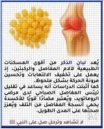 لبان الذكر.webp