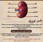 الكلى6.webp
