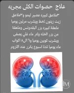 علاج حصوات الكلى.webp