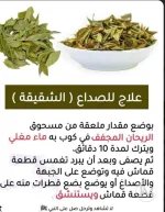علاج الشقيقه.webp