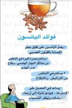 اليانسون النجمي.webp