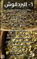 بردقوش5.webp