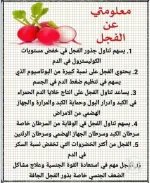 الفجل2.webp