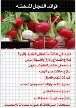 الفجل3.webp