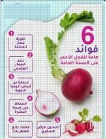 الفجل4.webp