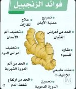 الزنجبيل.webp