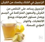 الزنجبيل8.webp