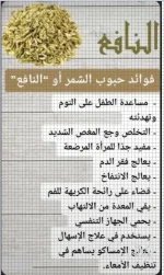 الشمر3.webp
