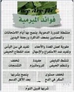 الميرميه.webp