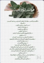 الميرمية