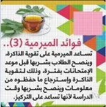الميرمية4.webp