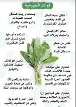 الميرميه5.webp