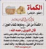 الكمأة