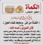 الكمأة.webp
