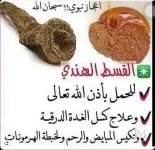 القسط الهندي.webp