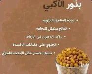 بذور الاكبي.webp