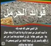 الحرمل.webp
