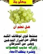 العنب2.webp