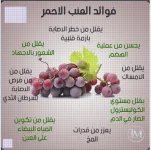 العنب3.webp