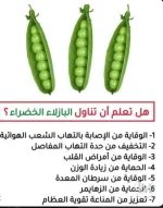 البازلاء.webp
