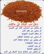 حب الرشاد3.webp