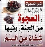 التمر9.webp