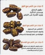 التمر2.webp