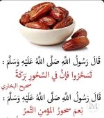 التمر1.webp