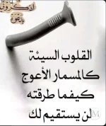 حكم4.webp حكم4.webp