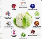 القرنبيط2.webp