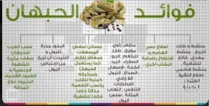 الهيل2.webp