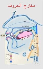 مخارج الحروف.webp