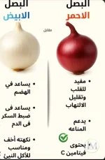 البصل.webp