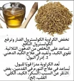 الكراوية