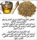 الكراوية.webp