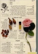 دهن الورد.webp