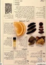 عطر البرتقال.webp